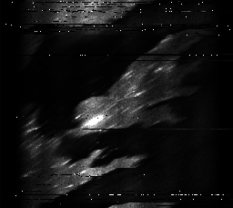 ascat_grayscale_ch3.png